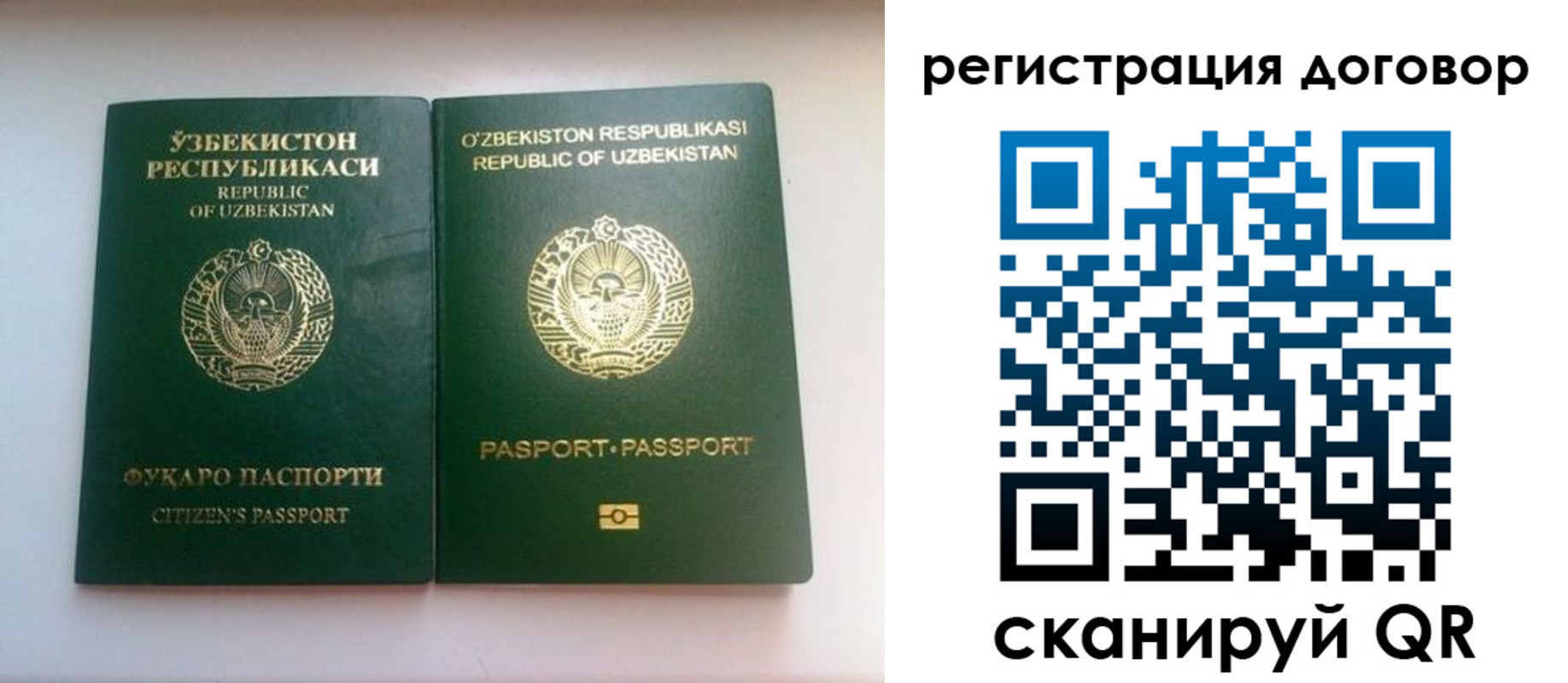 прописка в Зверево