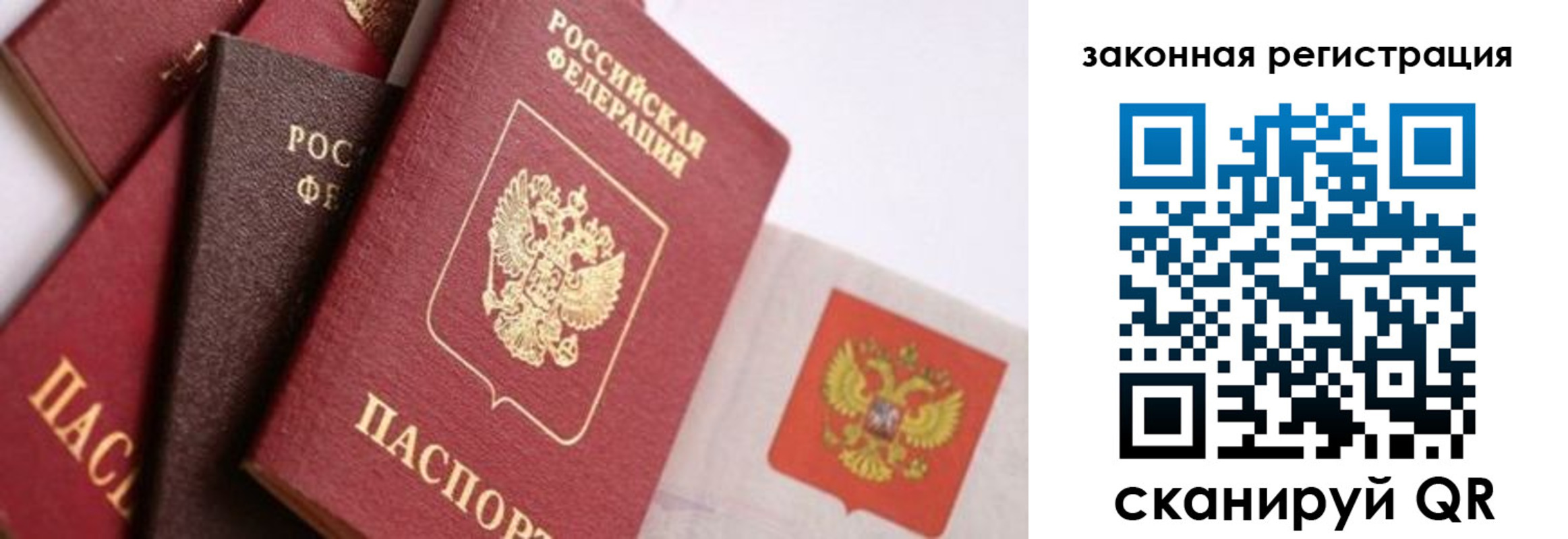 прописка штамп в Зверево